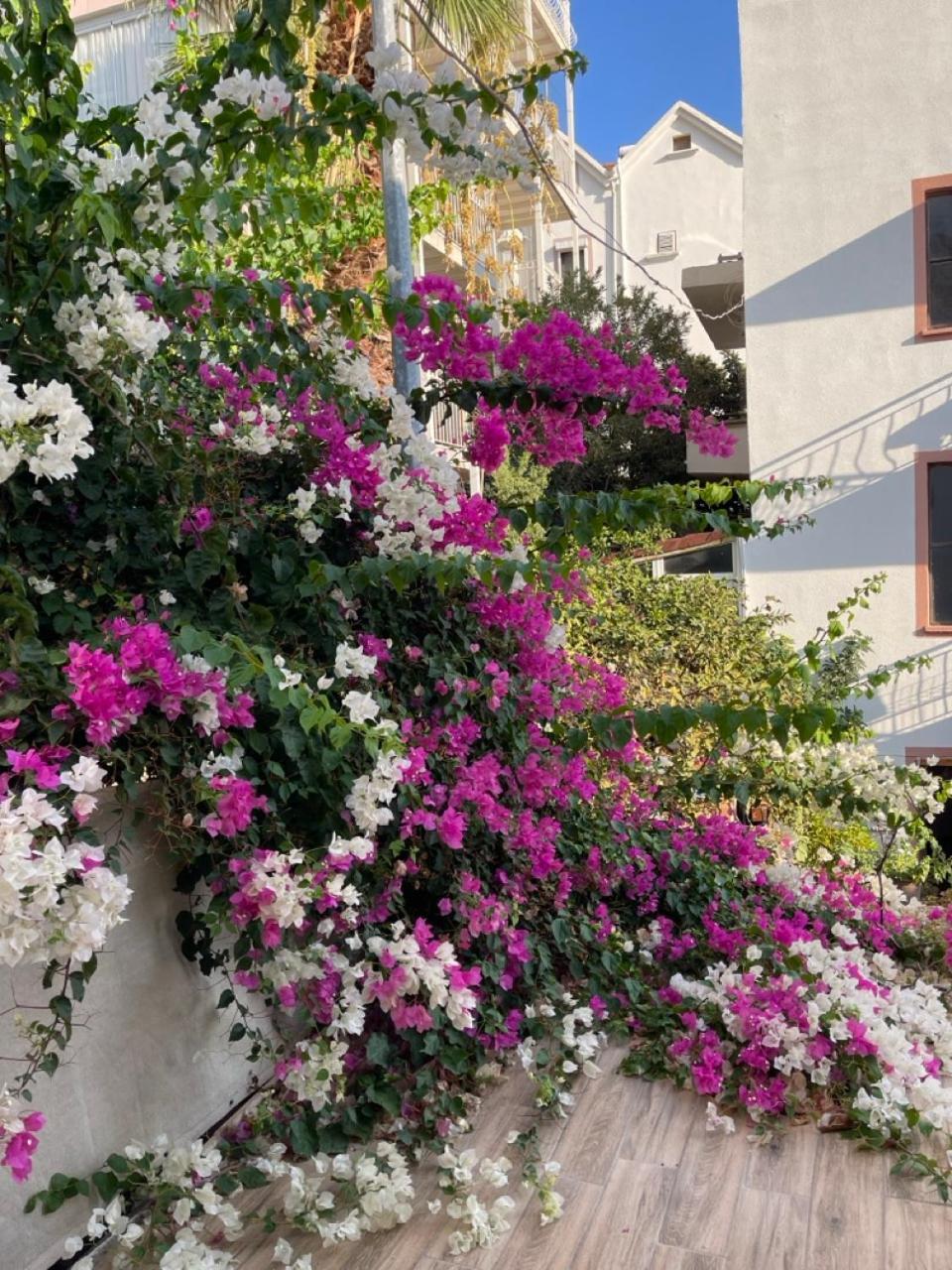 Paydos Pansiyon Kaş Luaran gambar